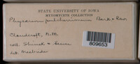 Image Associated With the Occurence